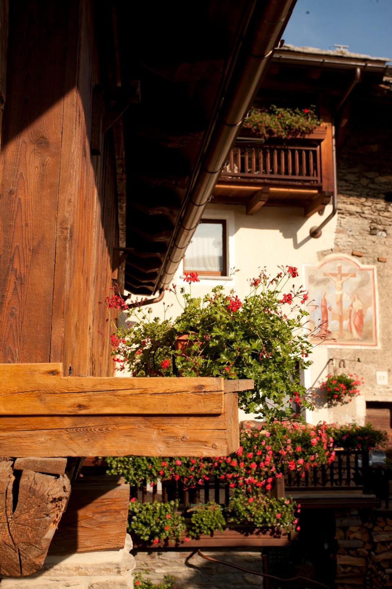 Il Fienile Della Nonna Apartamento Introd Exterior foto
